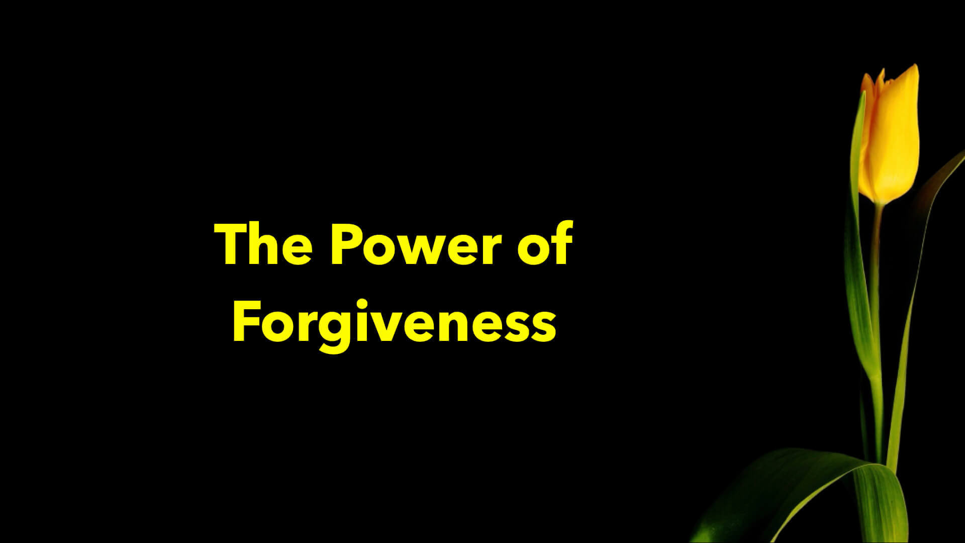The Power of Forgiveness