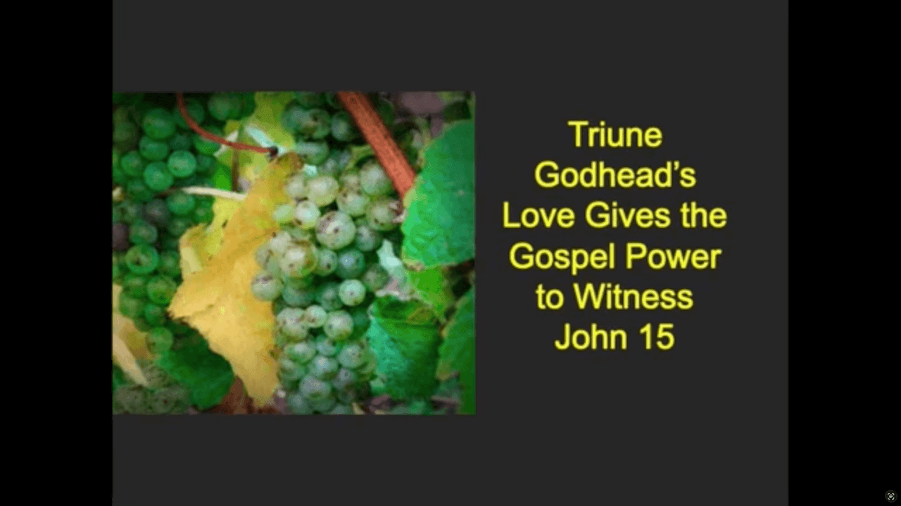John 15: Triune Godhead Powers the Gospel with Love